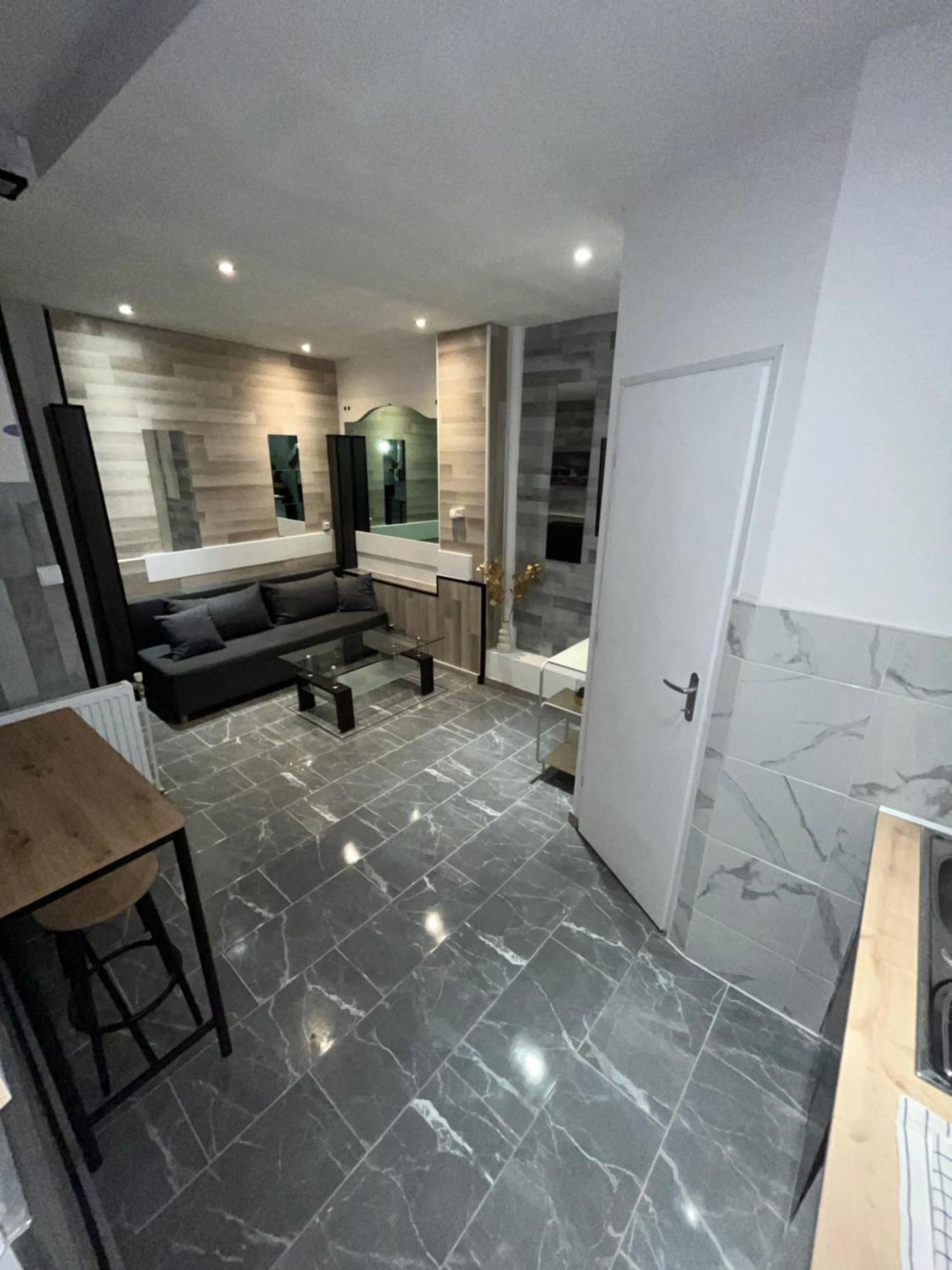 Appartement Moderne Centre Ville De Dijon Bagian luar foto