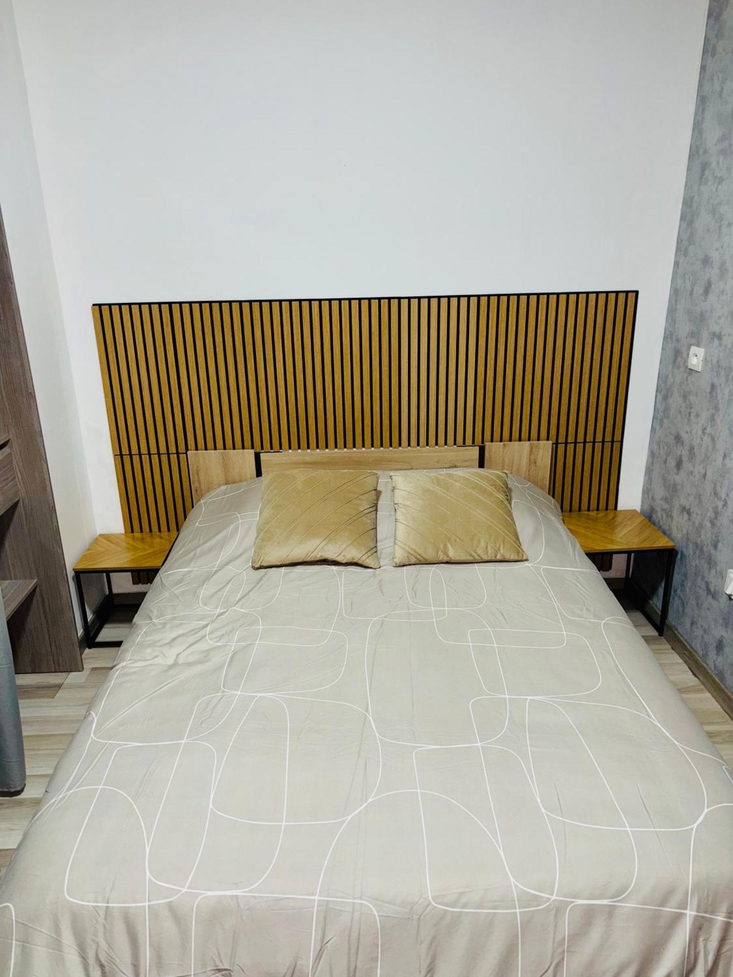 Appartement Moderne Centre Ville De Dijon Bagian luar foto